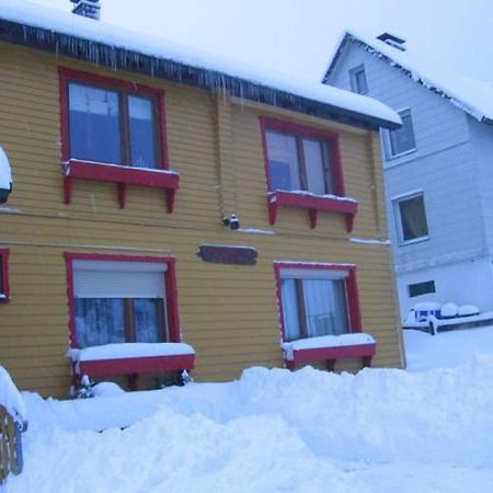 Ferienwohnung Loipe Braunlage Eksteriør billede
